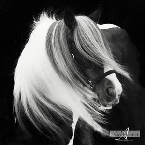 Meet your Posher, Lise